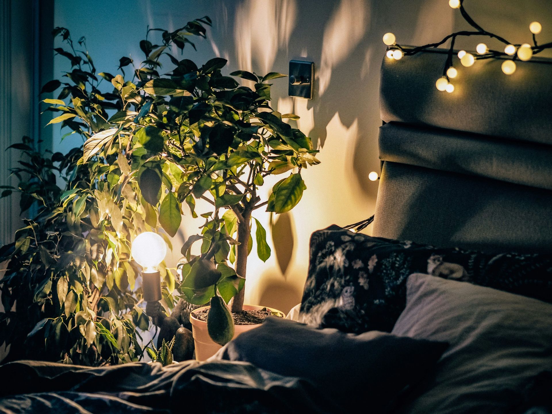 habitacion acogedora con luz tenue ideal para dormir