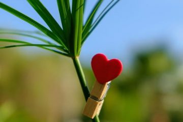 Ramo de flores con significados simbólicos para curiosidades San Valentín y romanticismo.